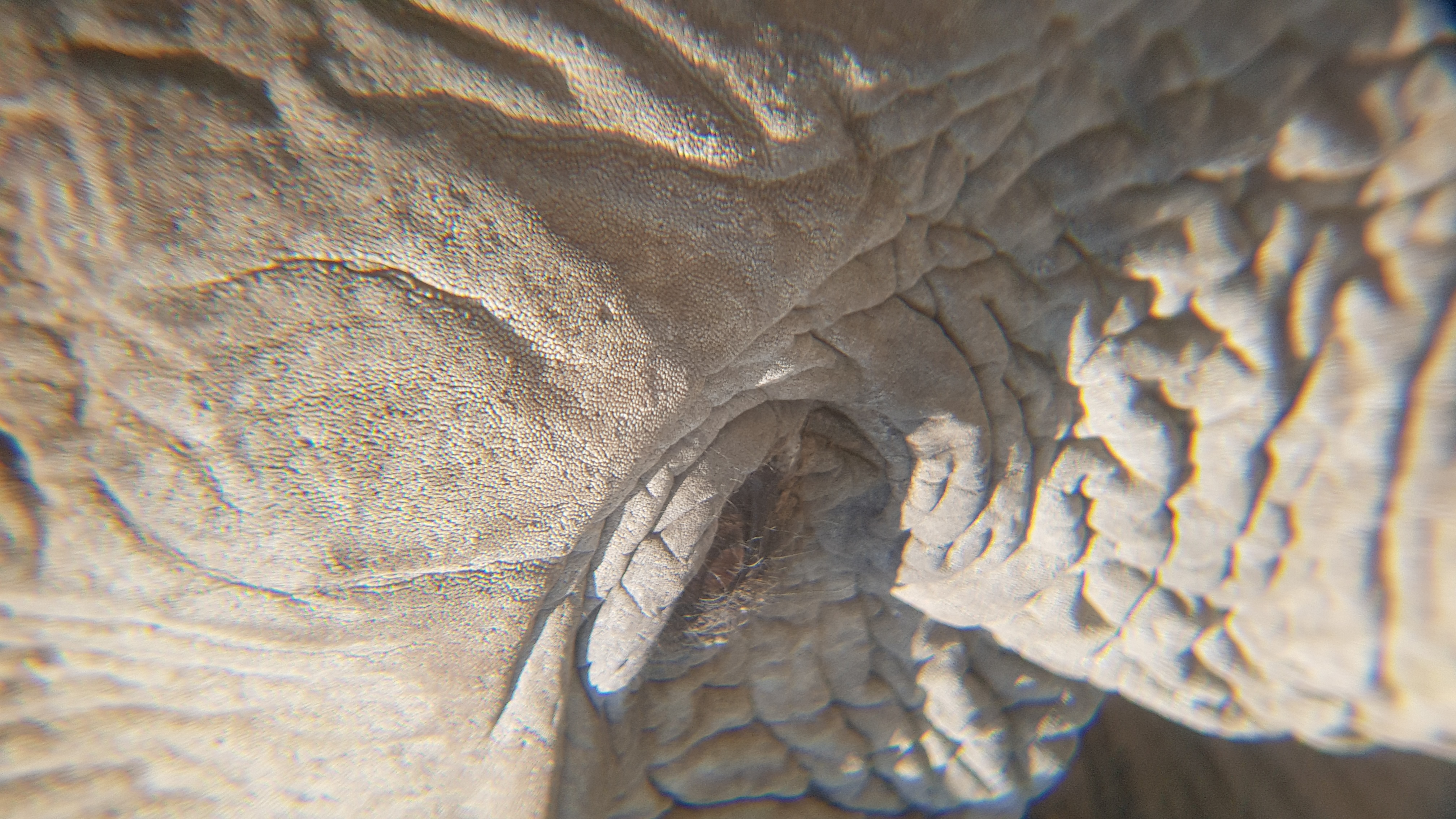 Etosha National Park