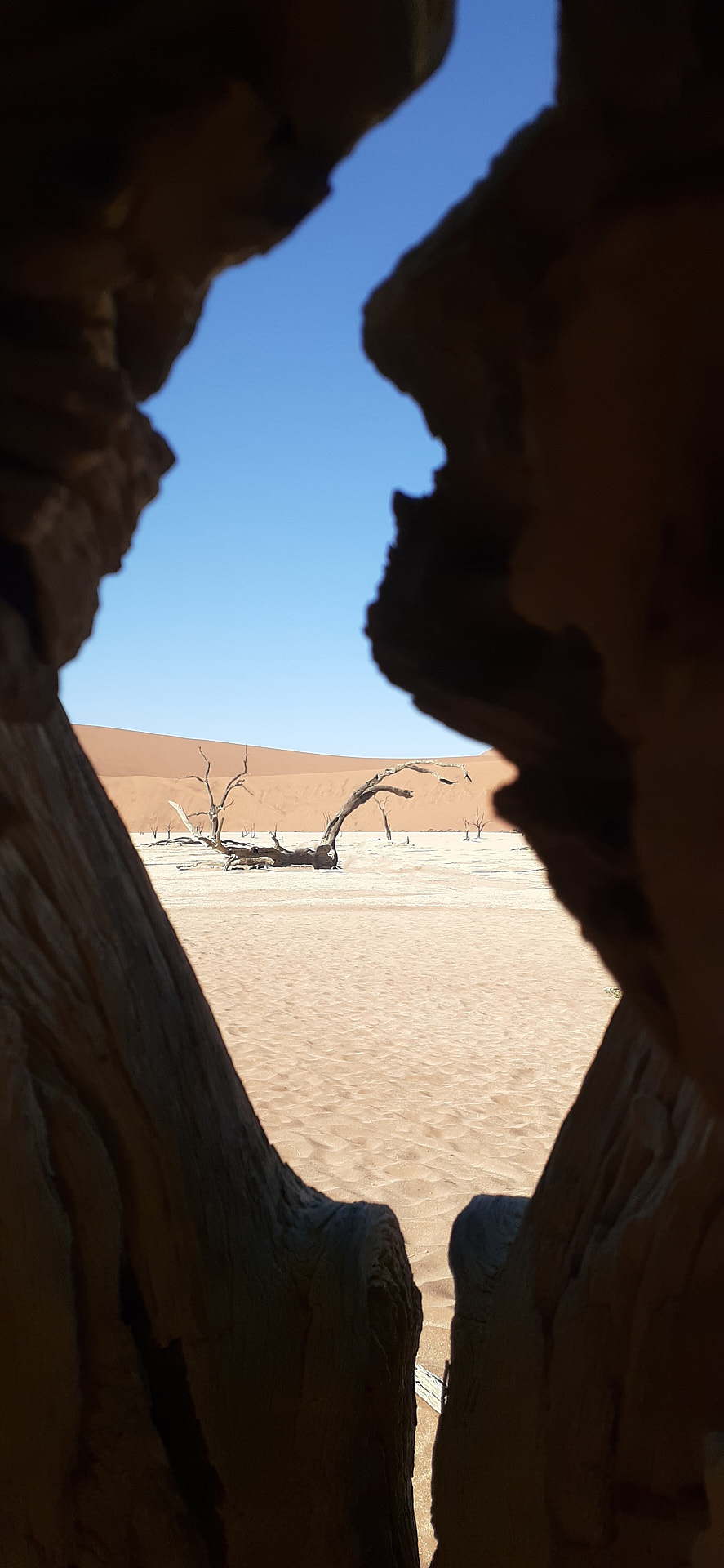 Namibian Desert Landscapes