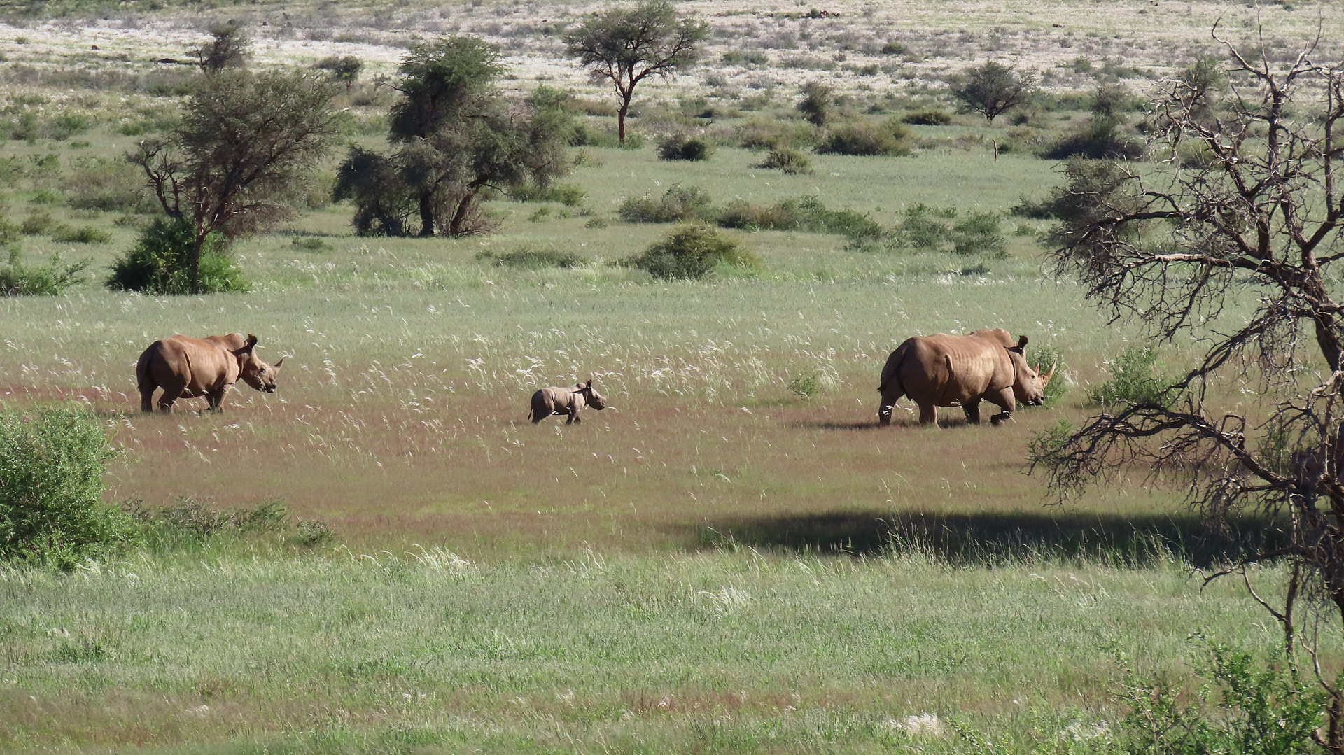 Protected Nature