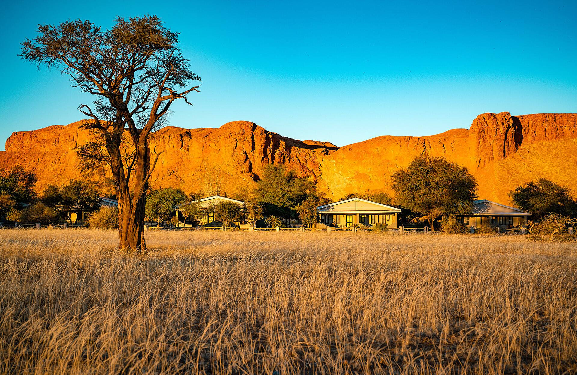 Namib Desert