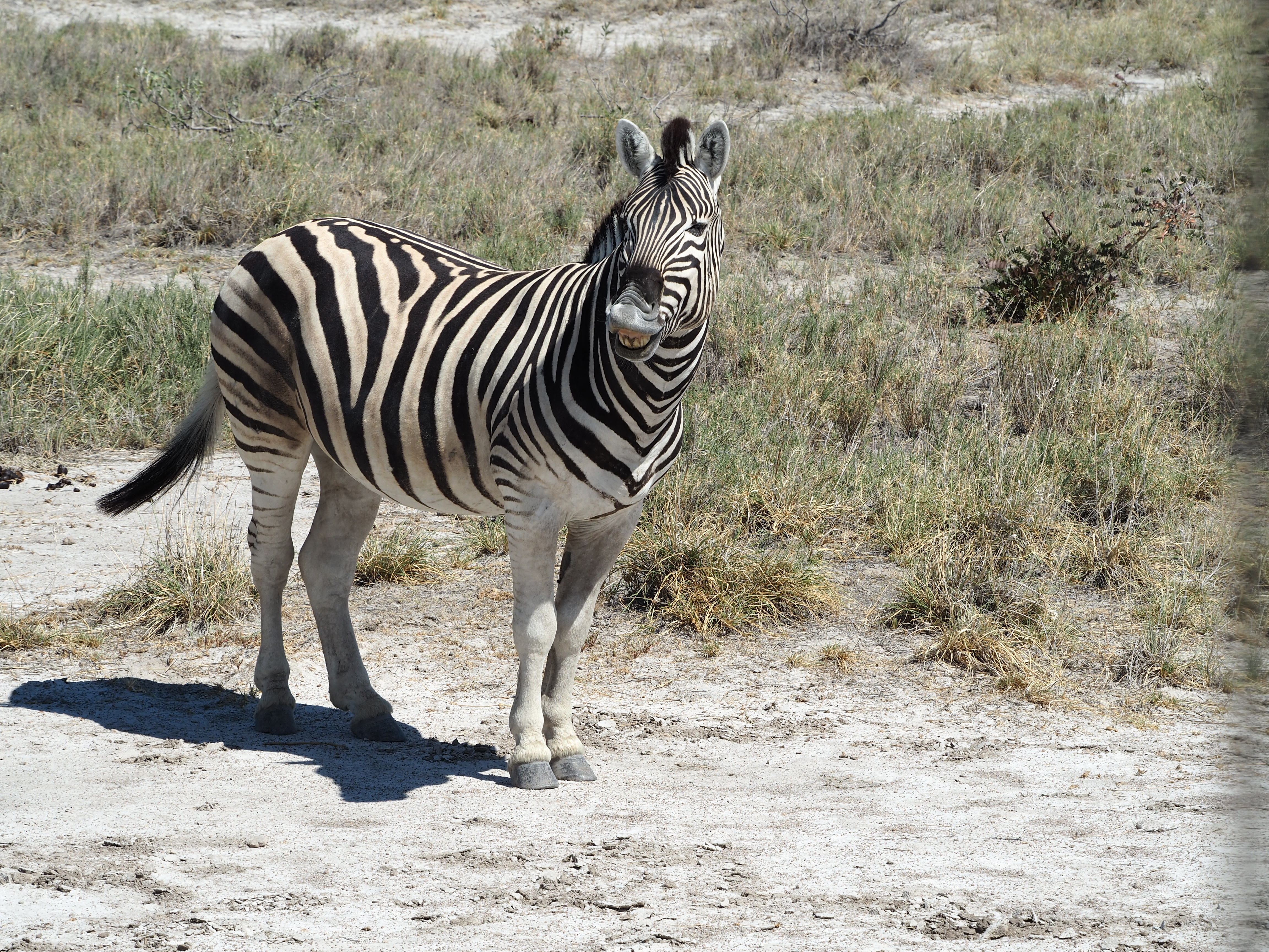 Vast Namibian desert panorama