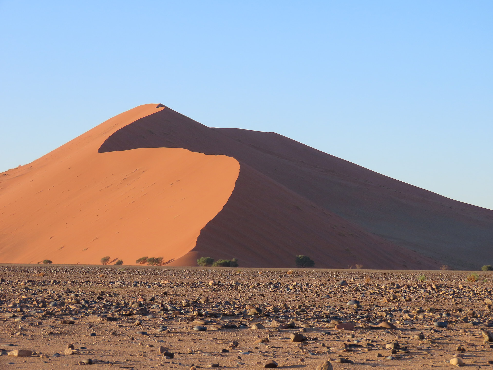 Sossusvlei & Deadvlei