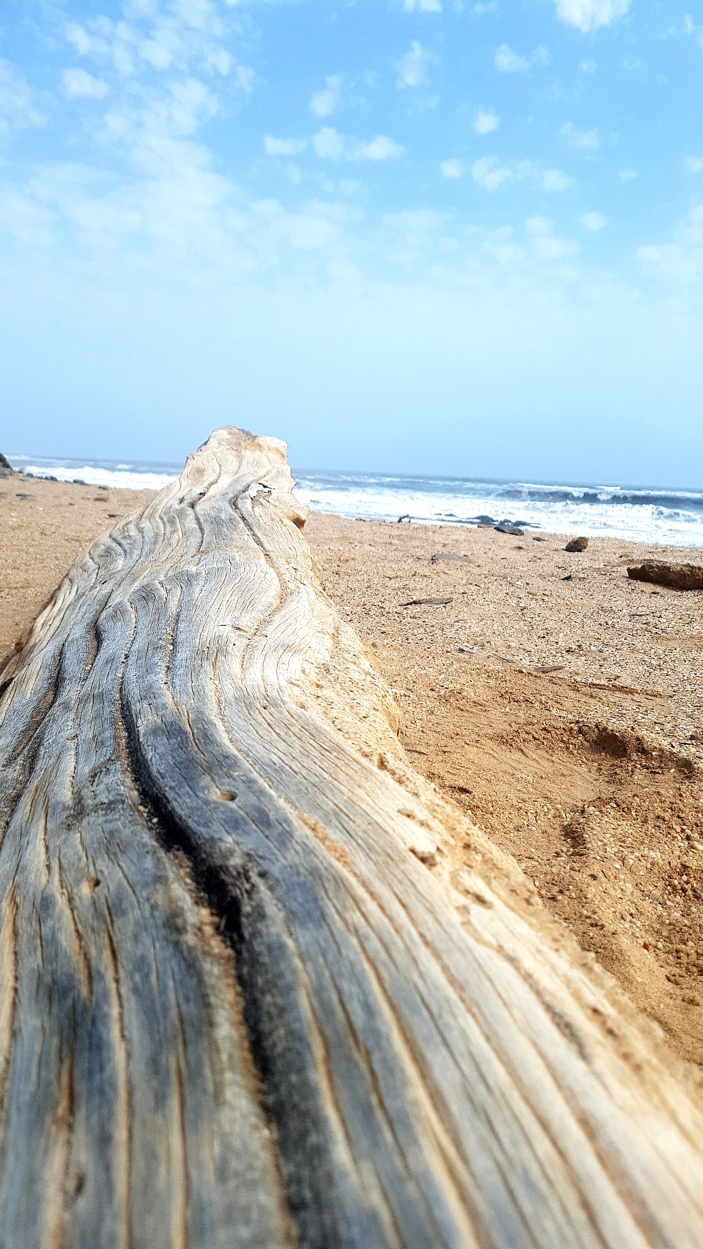 The open Namibian landscape