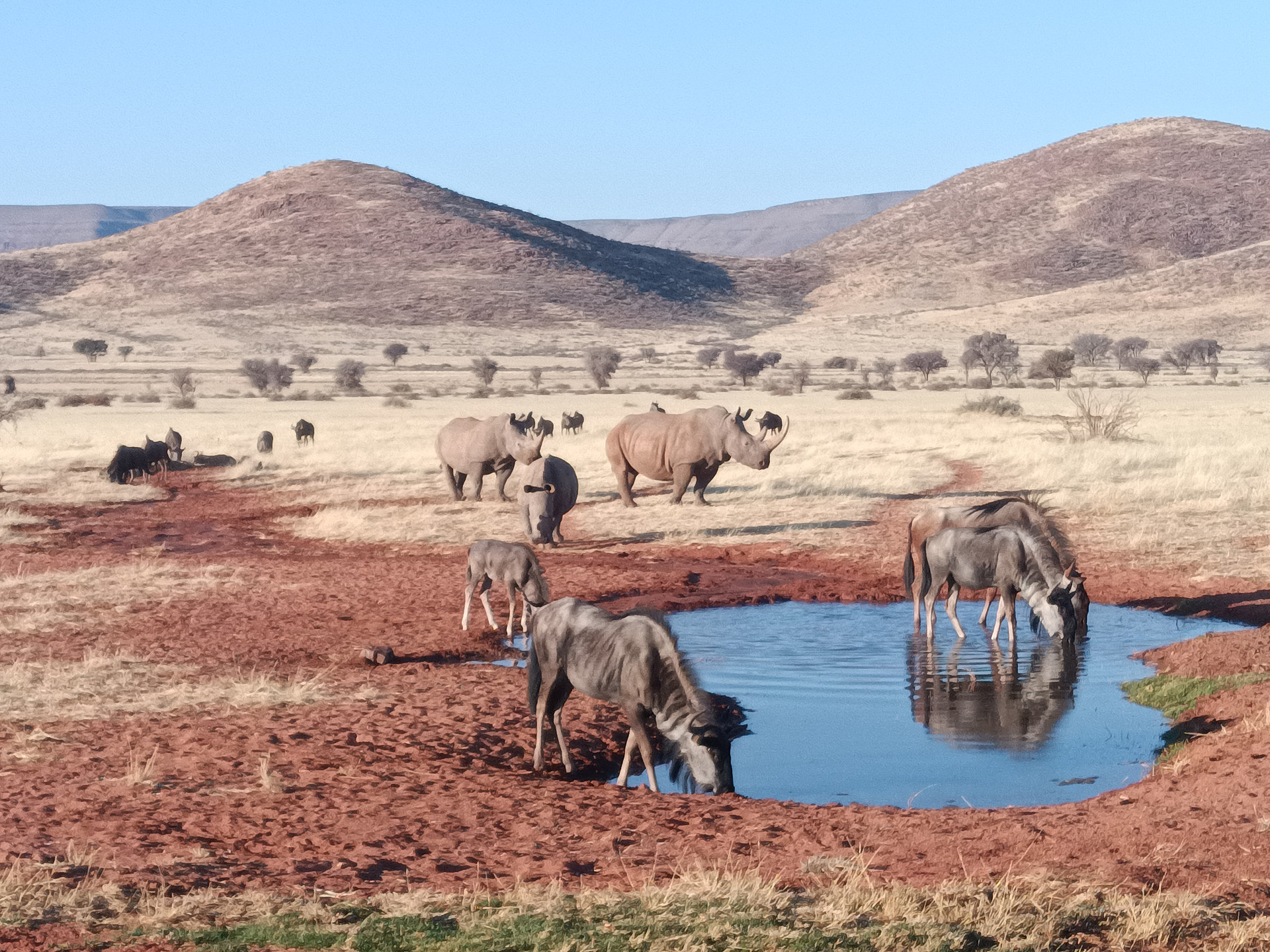 Kalahari Desert