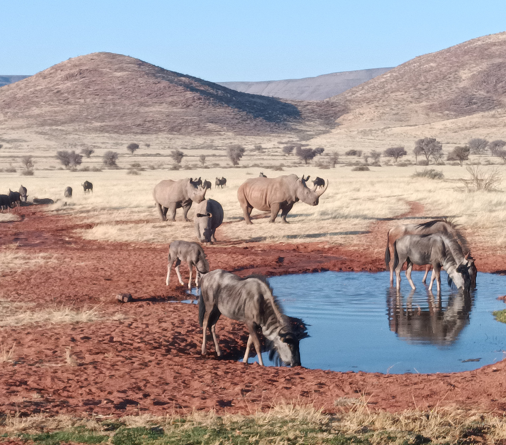 Kalahari