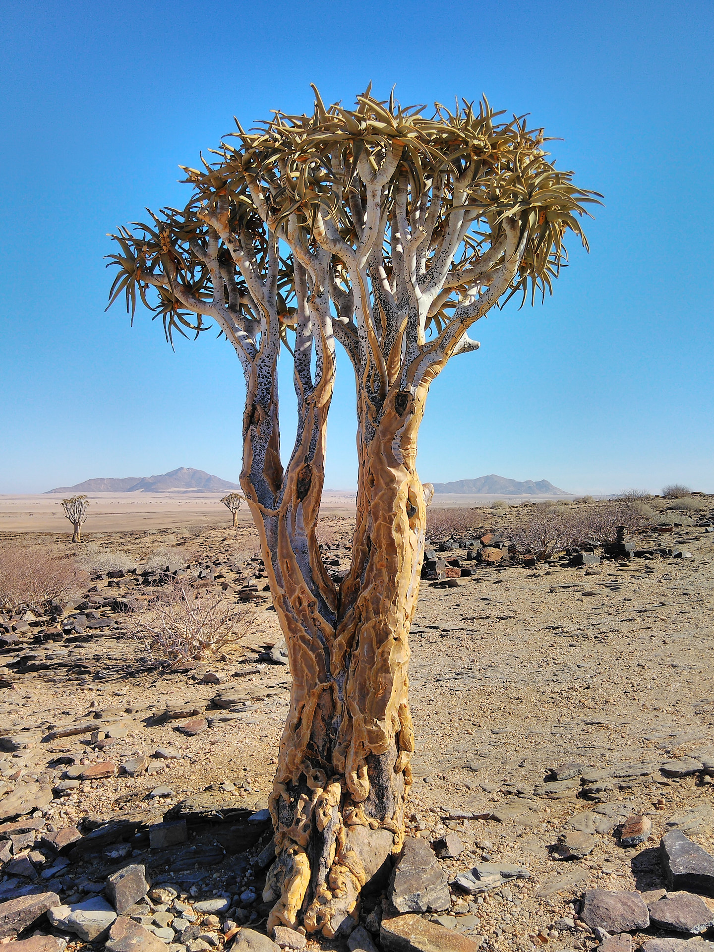 Lüderitz